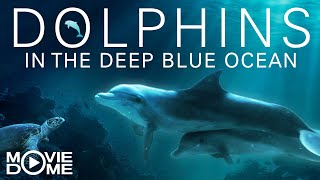 Dolphins in the deep Blue Ocean  Full Film  documentary  Watch for free at Moviedome UK [upl. by Kenley813]