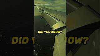 Lift Yourself Flap Control detailenjoyer didyouknow nowyouknow plane wing flaps physics [upl. by Yeliab]