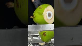 Coconut Soundscape coconut coconutwater fresh asmr asmrsounds asmrvideo satisfying [upl. by Krasner]