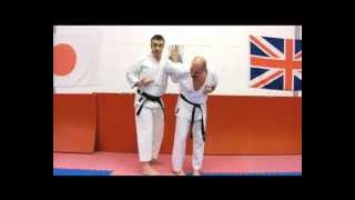 Heian Sandan Bunkai Strategies 2012 week 7 pinan bunkai oyo jutsu [upl. by Eitten]