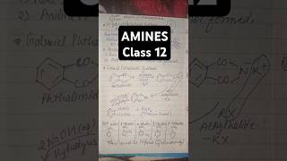 Kyu Gabriel phthalimide synthesis se Aniline nhi banta amines class12 chemistryReasoning Question [upl. by Atled284]