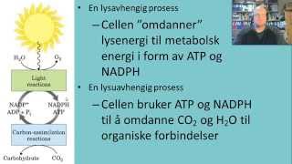 Fotosyntese Innledning [upl. by Tobye]