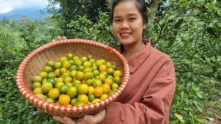 Kumquats cooked with honey and rock Sugar  the precious gift of winter  Meimei Kitchen [upl. by Yetta669]