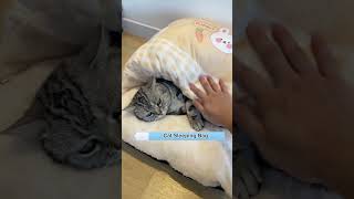 Cat sleeping bag Link is on bio or copywwwniopetscom [upl. by Annehsat]