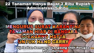 SURAT KARANTINA  CARA MENGURUS SURAT KARANTINA  BANDARA SOEKARNO HATTA  HAND CARRY [upl. by Eneliak907]