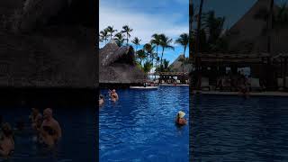 🇩🇴 Barcelo Bavaro Palace Punta Cana Dominican Rep 🌴shorts short shortvideo shortsvideo [upl. by Lian]