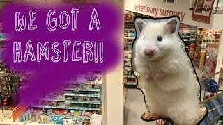 Adopting a New Hamster  Shopping In Pets At Home amp Ikea [upl. by Merdith]