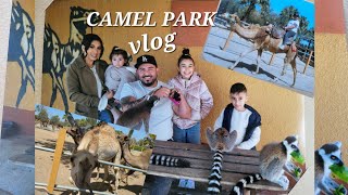 OUR CAMEL PARK EXPERIENCE  MAZOTOS CYPRUS 🐫 [upl. by Aliber]