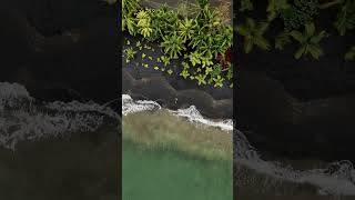 Puerto Viejo Costa Rica Black Sand Beach  Drone [upl. by Salmon]