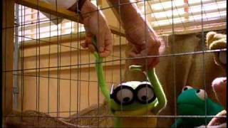 Kermit Swamp Years Blooper 2 [upl. by Theadora]