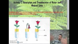 chapter 2 Activity 2 Translocation of water and mineral salts part 2 Grade 7 [upl. by Panthea570]