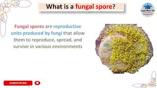 what is a fungal spore definition mycology microbiology [upl. by Macpherson133]