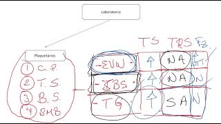 Fisiopatología y Clasifiacion de los Trastornos de la Coagulación [upl. by Auerbach]