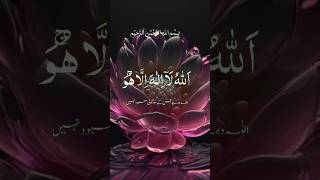 Ayatul qursi youtubeshort allahhuakbarallahhuakbar islamshortvideo shortsfeed shorts youtube [upl. by Meece]