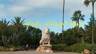 jardin zoologique de rabatجولة في حديقة الحيوانات بالرباط طبيعة ماشاء الله [upl. by Abey641]