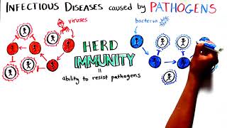 Herd Immunity Understanding COVID19 [upl. by Reeba682]