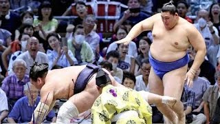 照ノ富士の連勝ストップ、大の里が突き落とし…２差に５人 [upl. by Norraf]