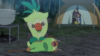 Thwackey Grooming Grookey  Pokemon Ultimate Journeys [upl. by Immas]