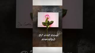 roja roja tamil song whatsapp status  kadhalar dhinam [upl. by Ifar]