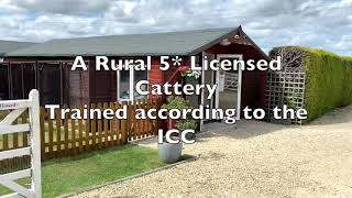 Virtual Tour Of Portway Cattery [upl. by Davon149]