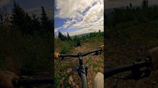 Killington Tech killington mtb [upl. by Nnaecarg]