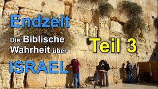 019  ENDZEIT Die Biblische Wahrheit über Israel  Teil 3 [upl. by Naedan]