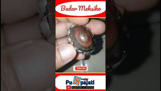 Akik Badar Meksiko shortvideo gemstone batuakik badar sanggarpuspajati [upl. by Iyre547]