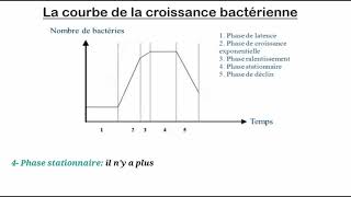 La croissance bactérienne [upl. by Yekcir862]