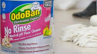 The ultimate floor cleaning with Odoban products [upl. by Farrish]