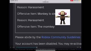 ROBLOX IS SO RACIST [upl. by Joellen268]