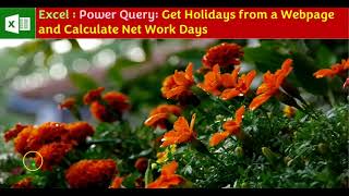 Excel  Power Query Get Holidays from a Webpage and Calculate Net Work Days [upl. by Nyrem]