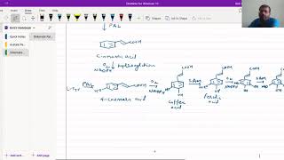 Biosynthesis of Cinnamic Acid Derivatives [upl. by Tena839]