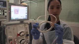 Setting up a Haemodialysis Machine Fresenius 5008 [upl. by Teodora]