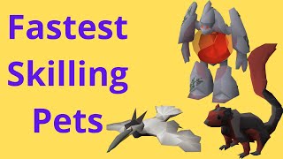 Fastest Skilling Pets OSRS 2020 Best to 99 and Post 99 [upl. by Otho]