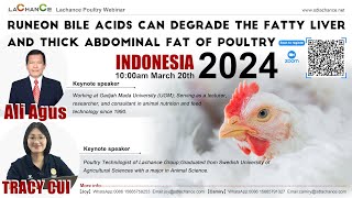 Indonesia Poultry TalksBile Acids Help Degrade Fatty Liver and Abdominal FatProf Ali Agus [upl. by Otis423]