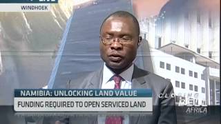 Land Reform in Namibia with Ipumbu Shiimi [upl. by Leachim]