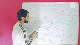 Lec No 4 Basic What is peptide bond between proteins NEET 1112th [upl. by Niai]