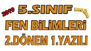 5Sınıf Fen Bilimleri 2Dönem 1Yazılı  5Sınıf Fen 2Dönem 1Yazılı 2019 [upl. by Amaras]