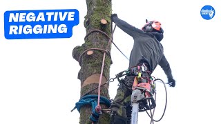 How to rig sections of trunk onto itself  Arborist Rigging techniques [upl. by Isolde956]