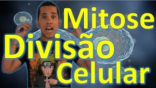 Aula 9 Divisão Celular  MITOSE  Aula de Biologia ENEM e Vestibular [upl. by Nlyak462]