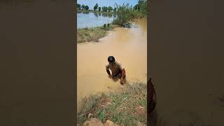 A cast net fishing traditional trap in the villageshorts [upl. by Sesmar]