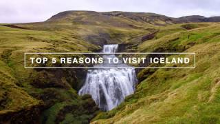 Top 5 Reasons to Visit Iceland [upl. by Dnomde]