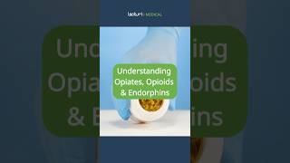 How to Differentiate Opiates Opioids amp Endorphins 💊 [upl. by Ursola]