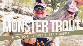 How To Catch Trout In The Eastern Sierra  A Beginners Guide [upl. by Eninnaej]