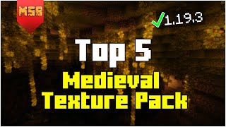 Top 5 Medieval Texture Packs for Minecraft 1194 2024 [upl. by Valenba850]