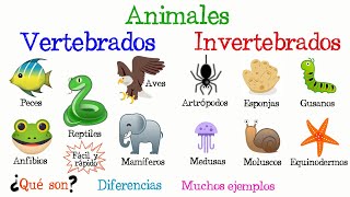 🐠Animales Vertebrados e Invertebrados🐙 Fácil y Rápido  BIOLOGÍA [upl. by Deeraf]