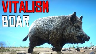 Red Dead Online Boar Vitalism Studies [upl. by Osnofla]