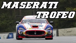 Maserati GranTurismo MC Trofeo  Loud growling V8 test Circuit Zolder 2014 [upl. by Carbrey]