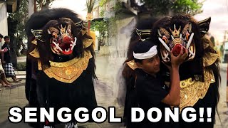 BARONG BANGKUNG SALING SENGGOL MEPETUK 2024 [upl. by Newel]