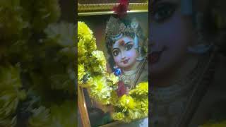 Om muruga potri 🙏🦚⚜🪔Bakthiya Sakthi🌺shortsviraldailyvlogtriendigsubscribe🙏 [upl. by Elora1]